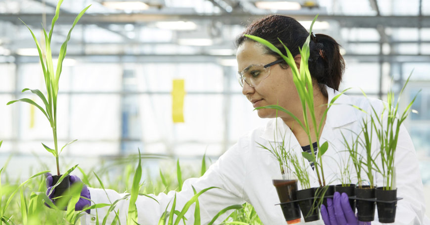Bayer to deliver ten blockbusters in ten years